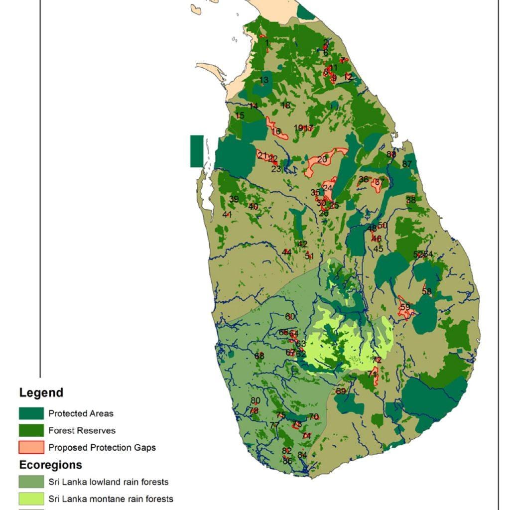 Sri Lanka ormanlarının göster